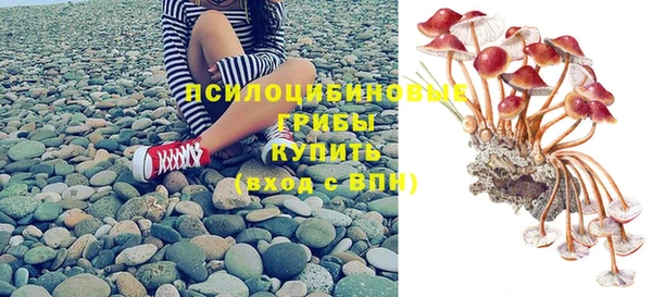 первитин Горняк