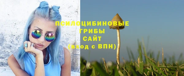 первитин Горняк