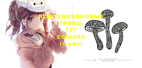альфа пвп Горно-Алтайск