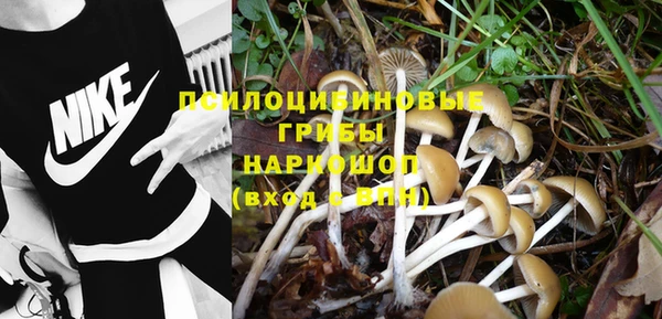 герыч Горнозаводск