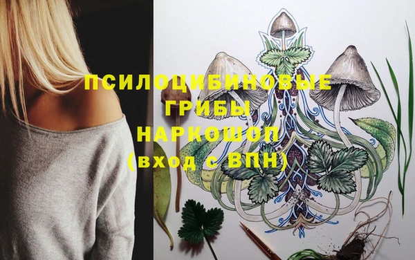 первитин Горняк