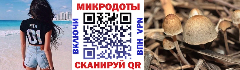 Галлюциногенные грибы Magic Shrooms  Купить закладки  Кизляр 